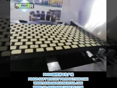 Linea di produzione di biscotti da A a Z Linea di lavorazione di biscotti completamente automatica 500 kg/h
