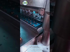 PD1000 LINEA di produzione di biscotti a doppio colore completamente automatica