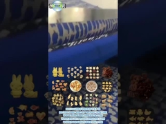 PD1200 Linea di produzione di biscotti duri a forma di animale